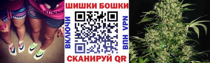 Псилоцибиновые грибы Богданович